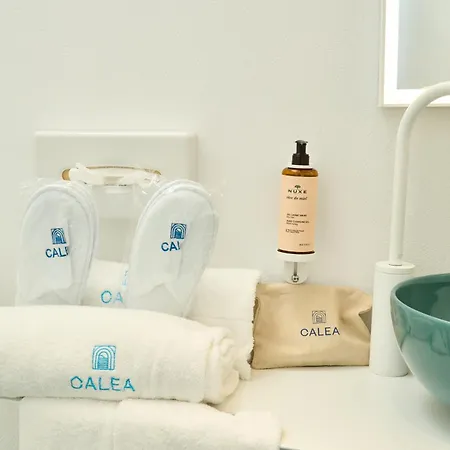 Calea Boutique 酒店
